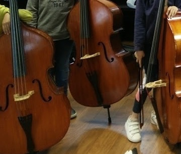 Bass Lessons